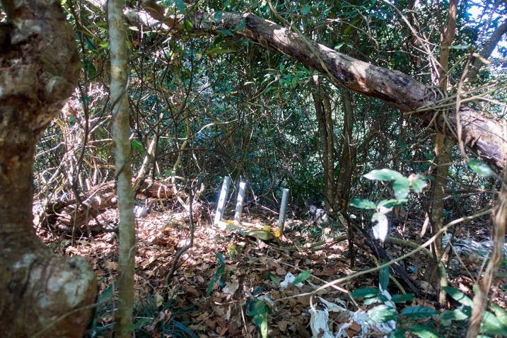 森林中破損的倒置塑膠桌 - 新置山山頂