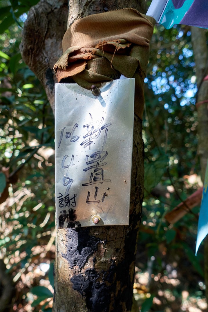 樹上掛著中文金屬標誌 - 新置山山頂