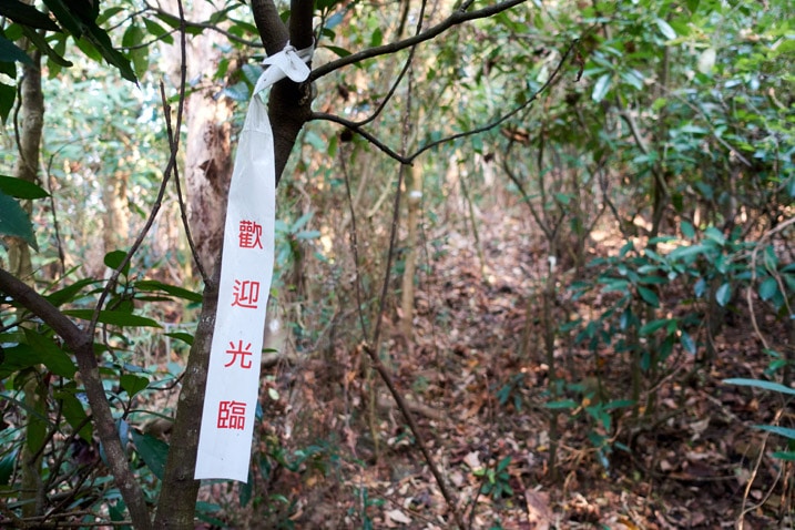 白色路標緞帶綁在樹上，背景有步道 - 武潭山