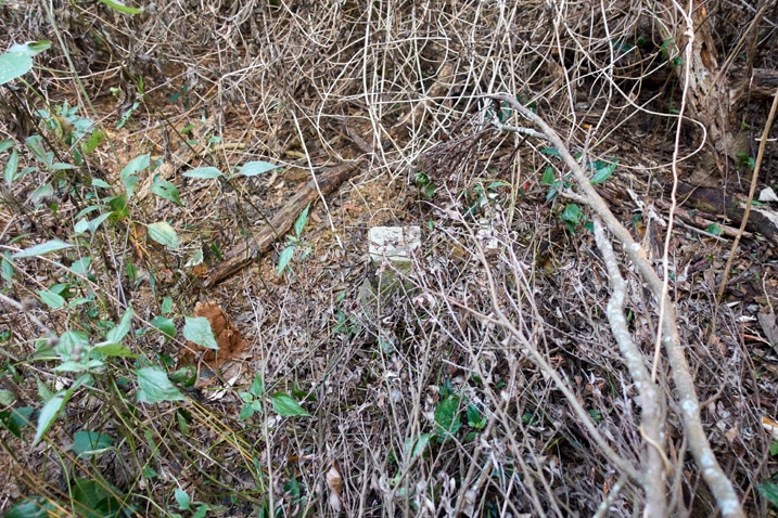 被枯萎植被覆蓋的石碑 - 武潭山山頂