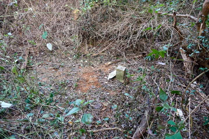 武潭山山頂