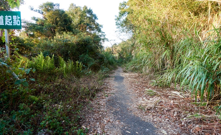 兩旁雜草叢生的舊路 - 蕃里山