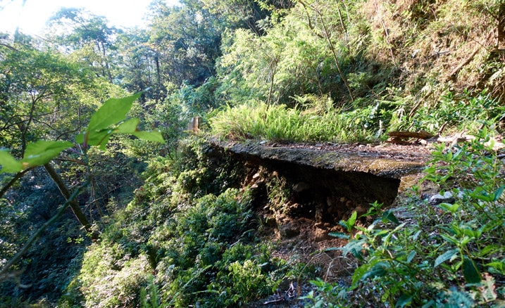 四周雜草叢生的舊路 - 路底被掏空 - 蕃里山