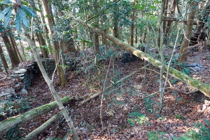 廢棄台灣原住民傳統房子殞地 - 堆疊石頭與許多樹