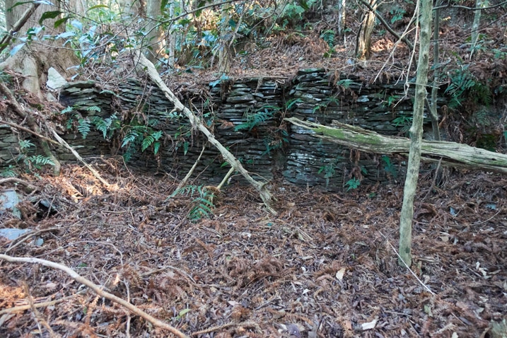 廢棄台灣原住民傳統房子殞地 - 堆疊石頭與許多樹