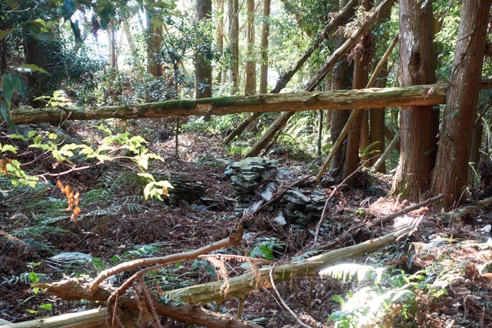 廢棄台灣原住民傳統房子殞地 - 堆疊石頭與許多樹
