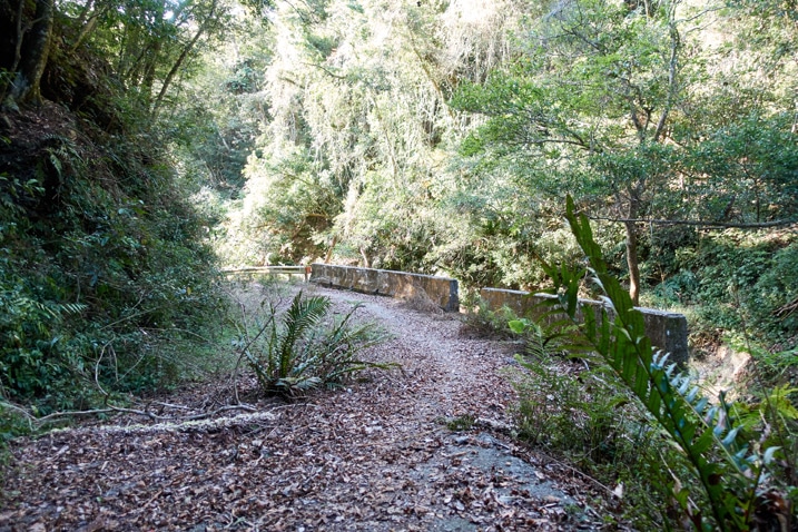 山路旁有護欄