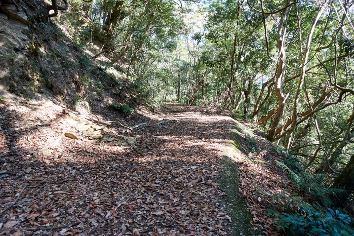 滿地落葉的山路