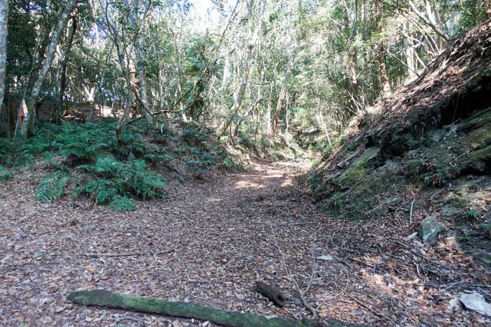 山路與左邊的登山口