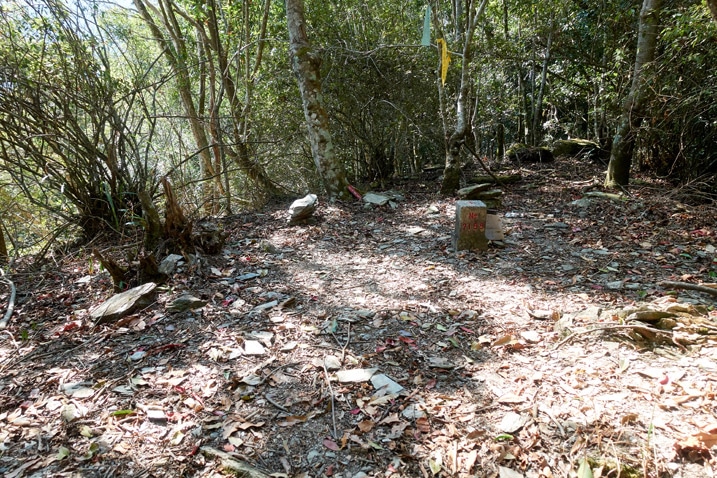 蕃里山頂 - 空地與三角點