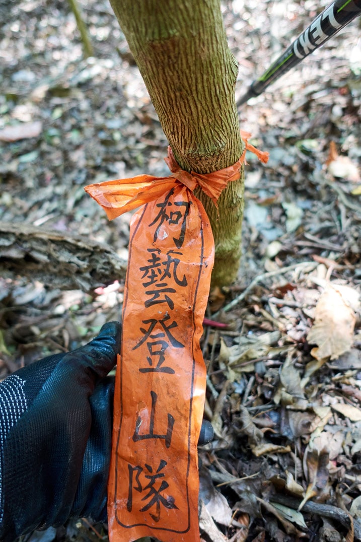 樹上綁著寫著柯藝登山隊的緞帶