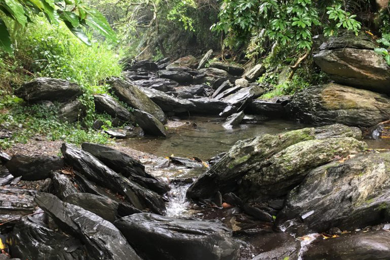 Rocky stream in mountains