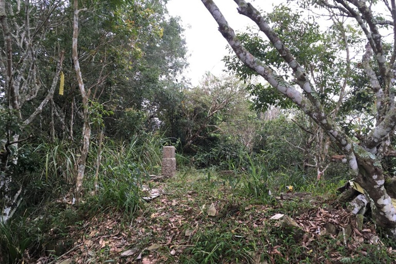 Dayuan Mountain - 大原山 Triangulation stone
