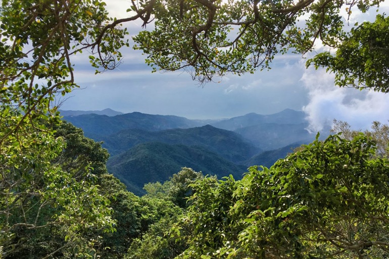 Looking out from behind tree cover at lower mountains from the NanHuLuShan 南湖呂山 trail