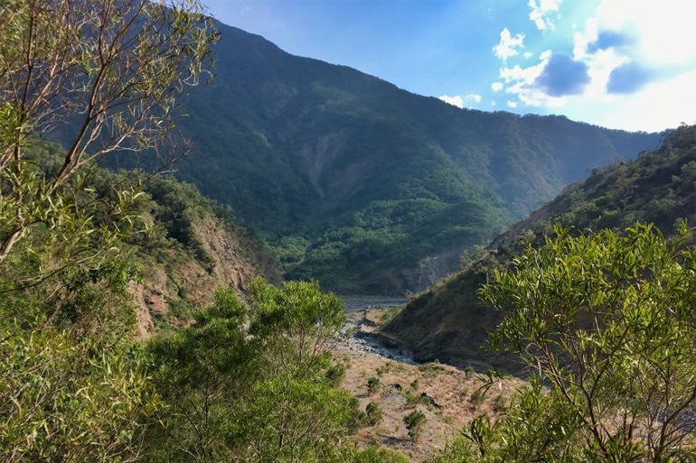 Looking down at a riverbed