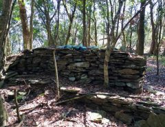 Old stone wall in forest