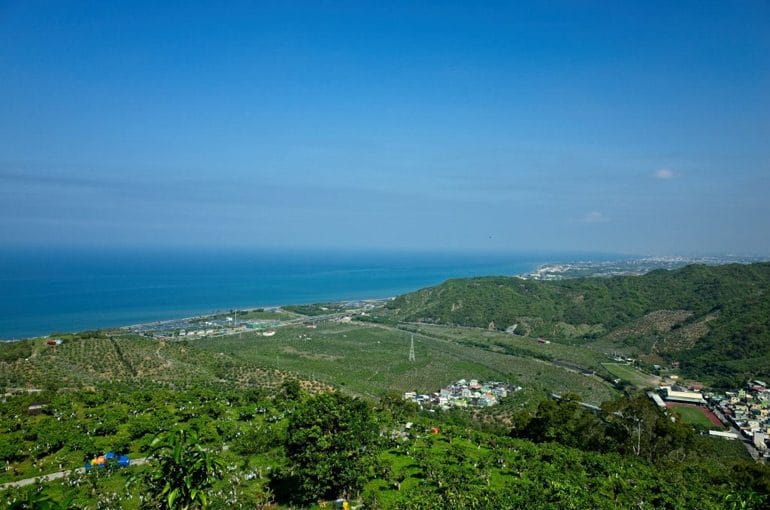 Shizi 獅子 Mango Fields