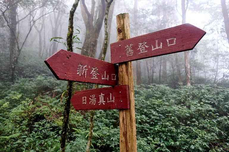 Three red signs on pole in forest