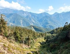 Beautiful mountain and forest view