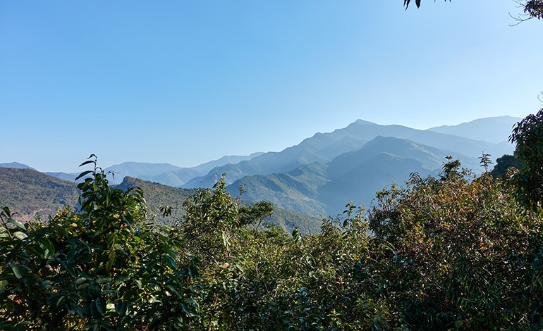 Mountains in the distance - blue sky - trees in foreground